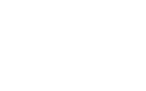 Fremsyn